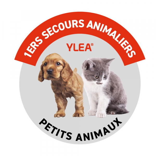 Trousse de premiers secours YLEA FIRST animaliers